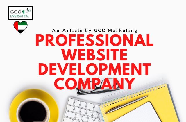 Professional Website Development Company