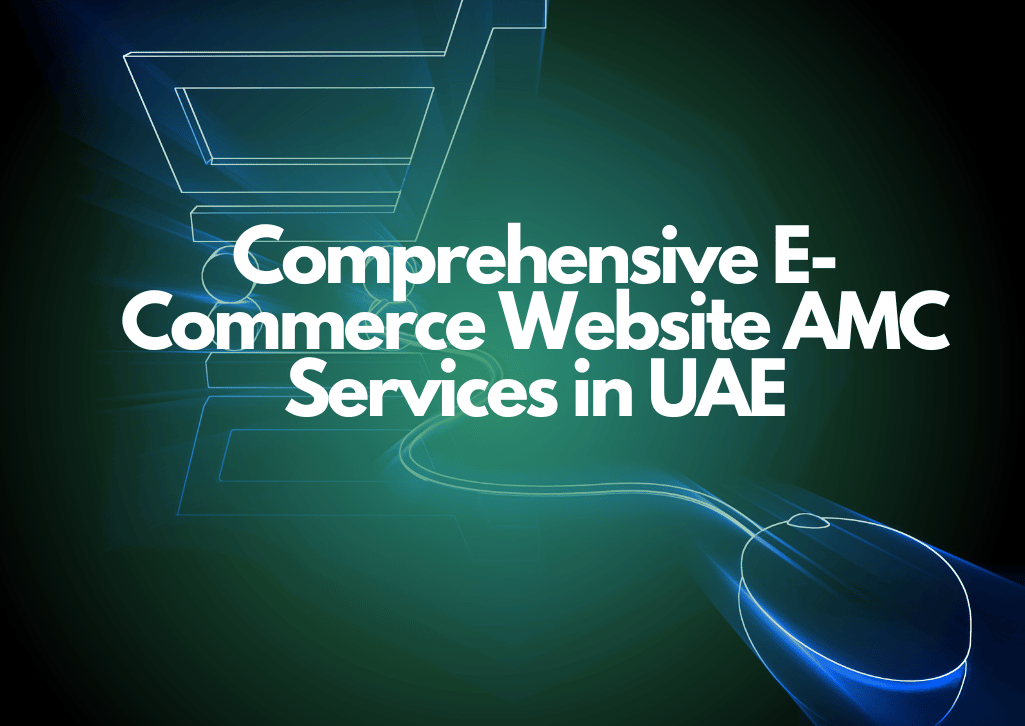 Comprehensive E-Commerce Website AMC Services in UAE