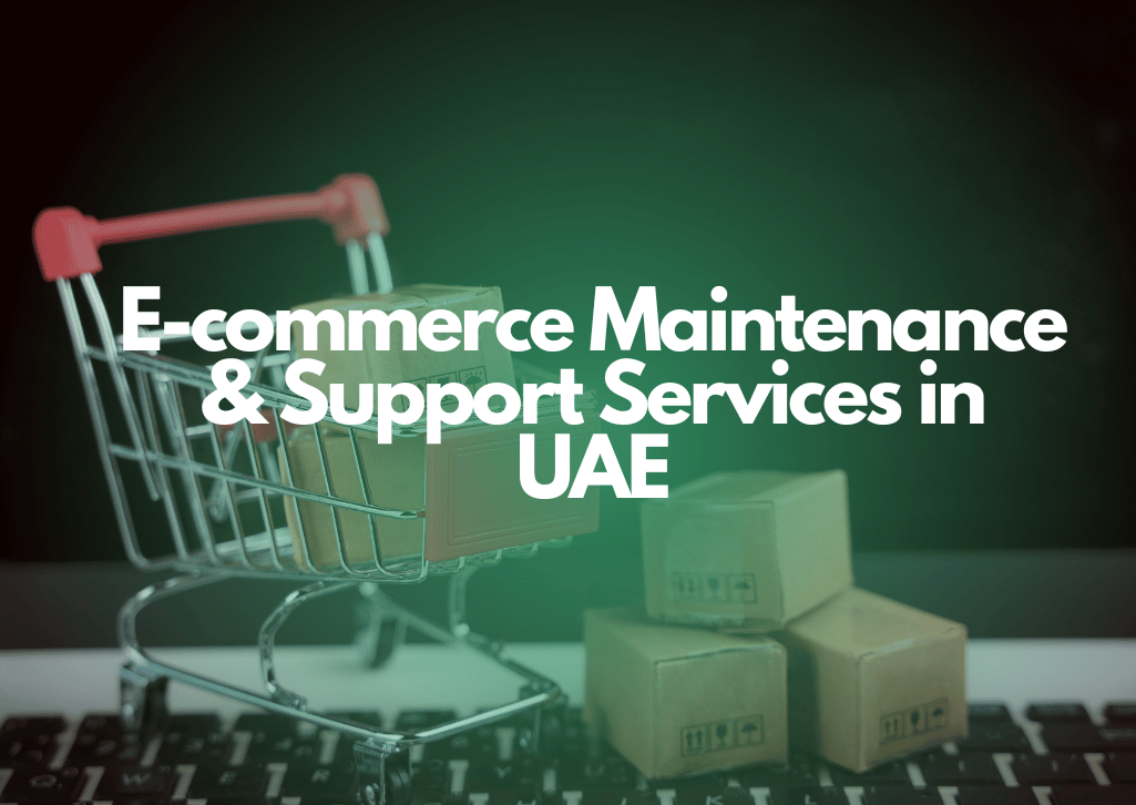 Ecommerce Maintenance & Support Services in UAE